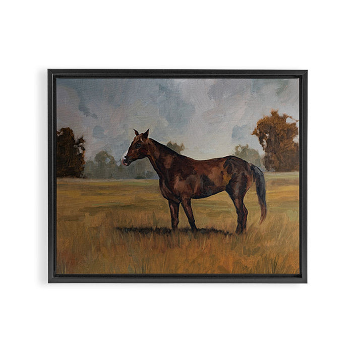 Runaway Rocky Framed Canvas Print Gallery Image 1