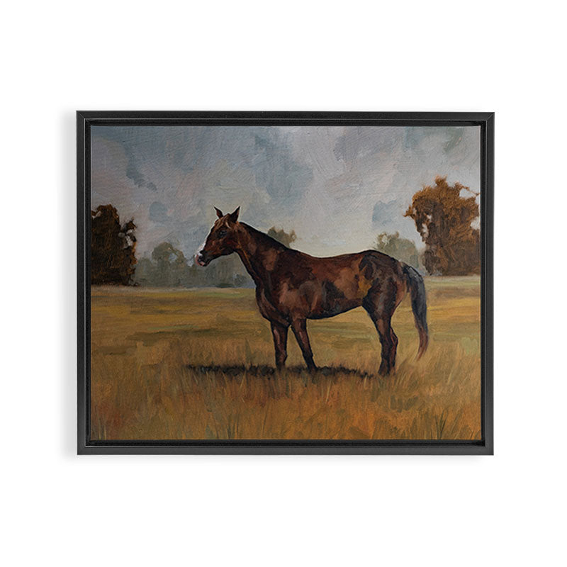 Runaway Rocky Framed Canvas Print Gallery Image 14