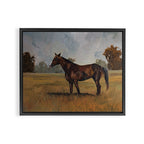 Runaway Rocky Framed Canvas Print Gallery Image 14