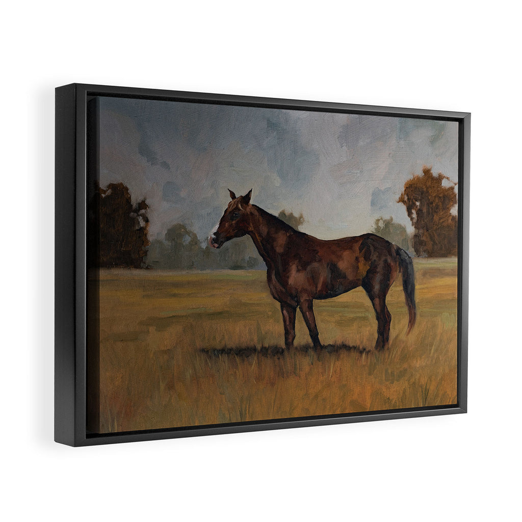 Runaway Rocky Framed Canvas Print Gallery Image 2