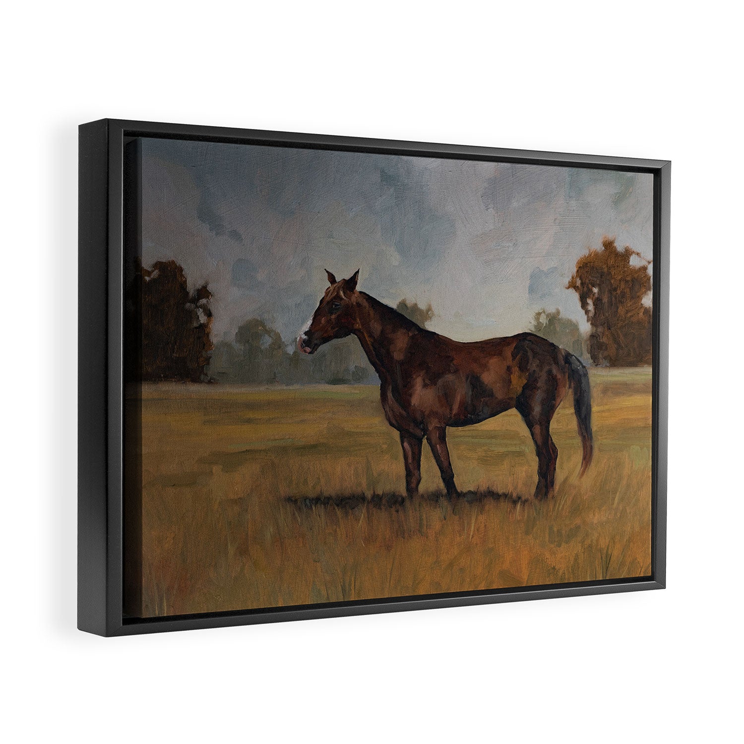 Runaway Rocky Framed Canvas Print Gallery Image 2