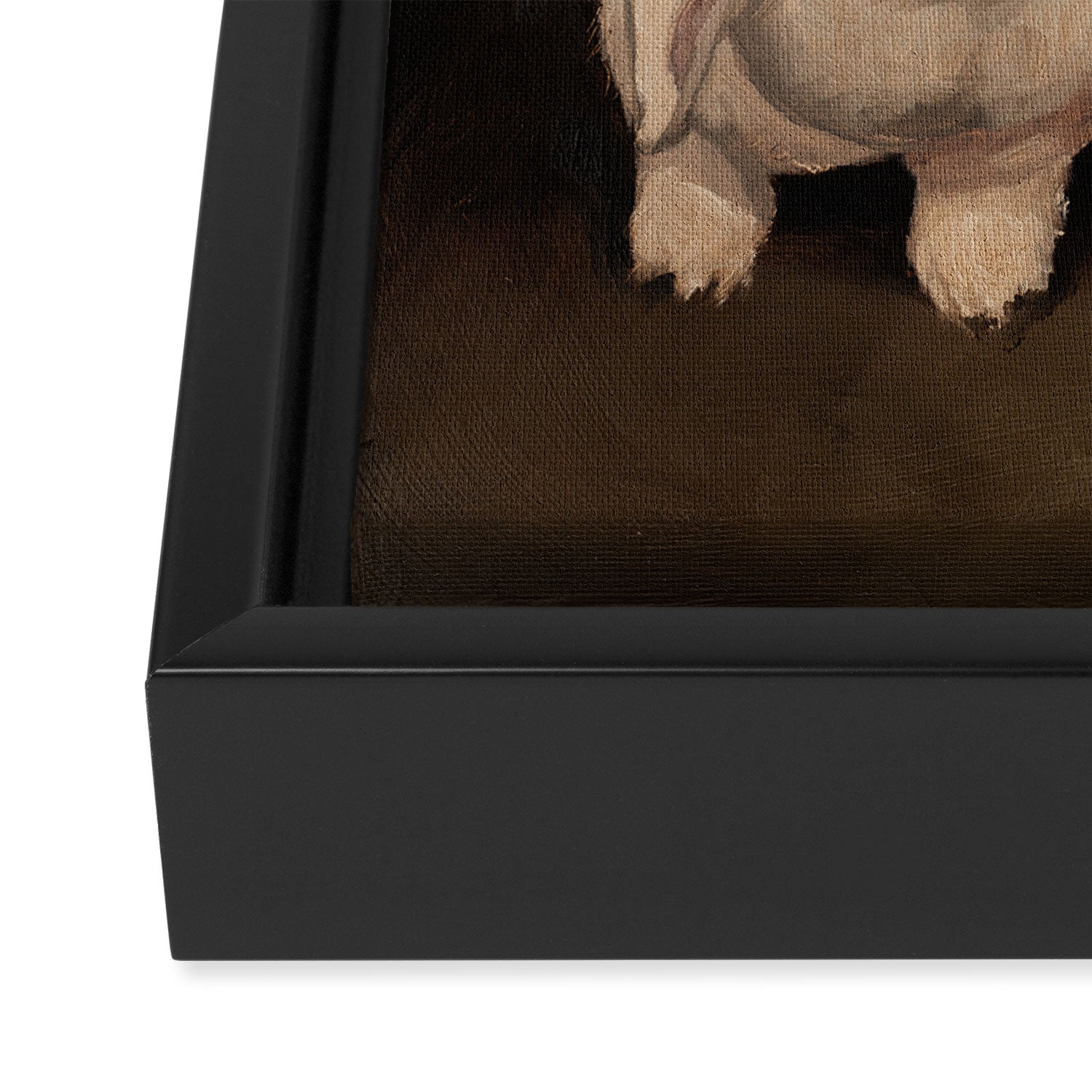 Sharing a Snack Framed Canvas Print Gallery Image 3
