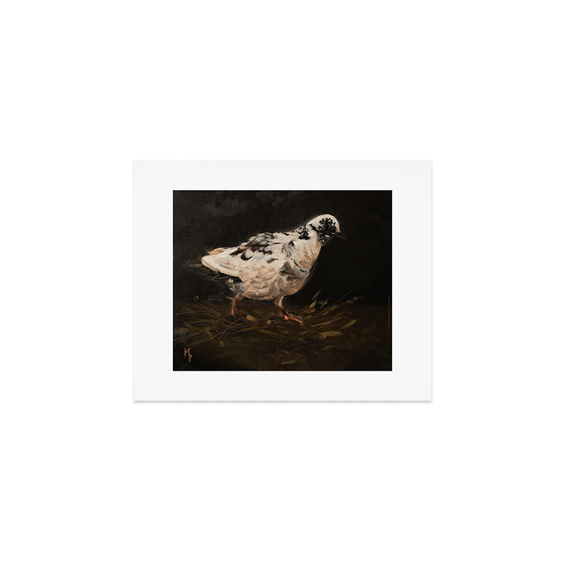 Spotted Pigeon Art Print Gallery Image 1