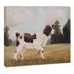 Springer Spaniel Canvas Print Gallery Image 12