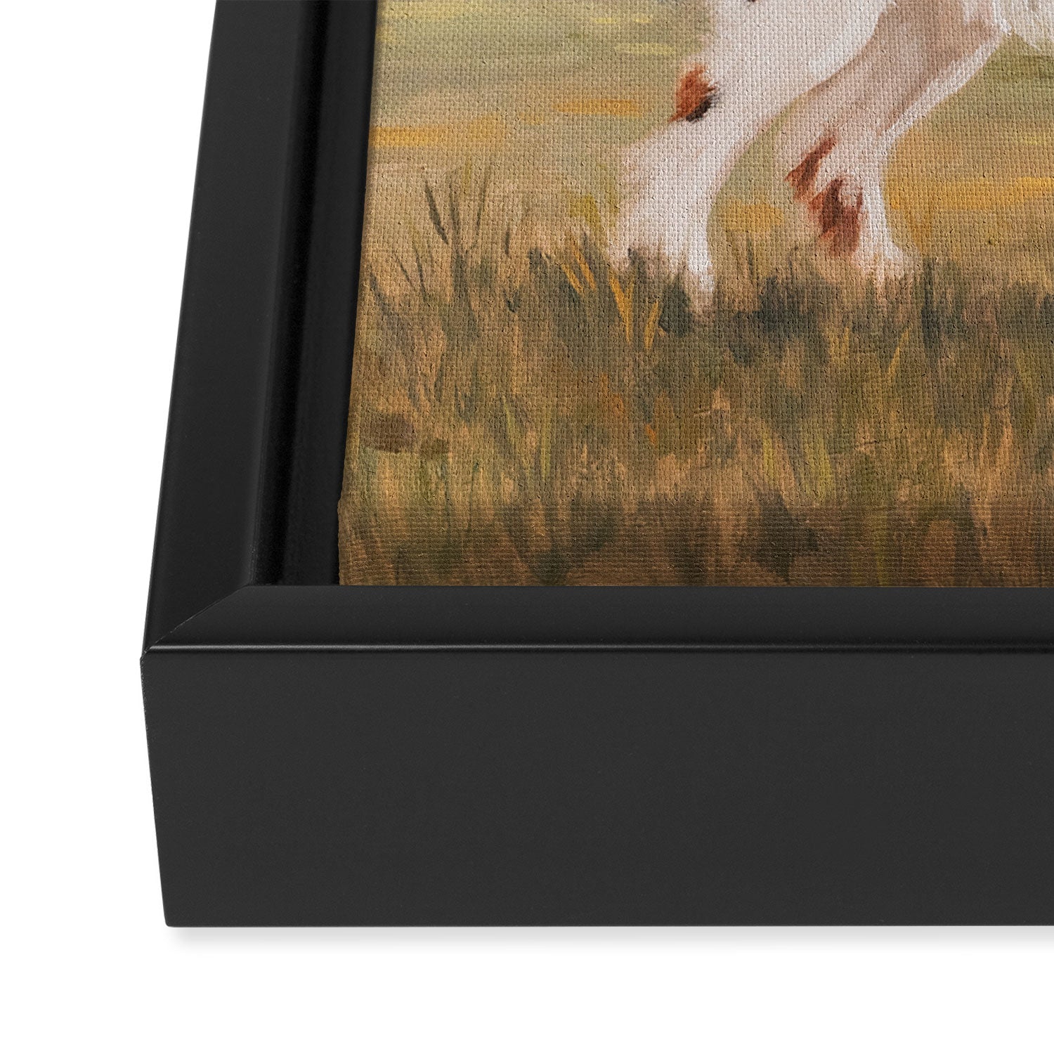Springer Spaniel Framed Canvas Print Gallery Image 3