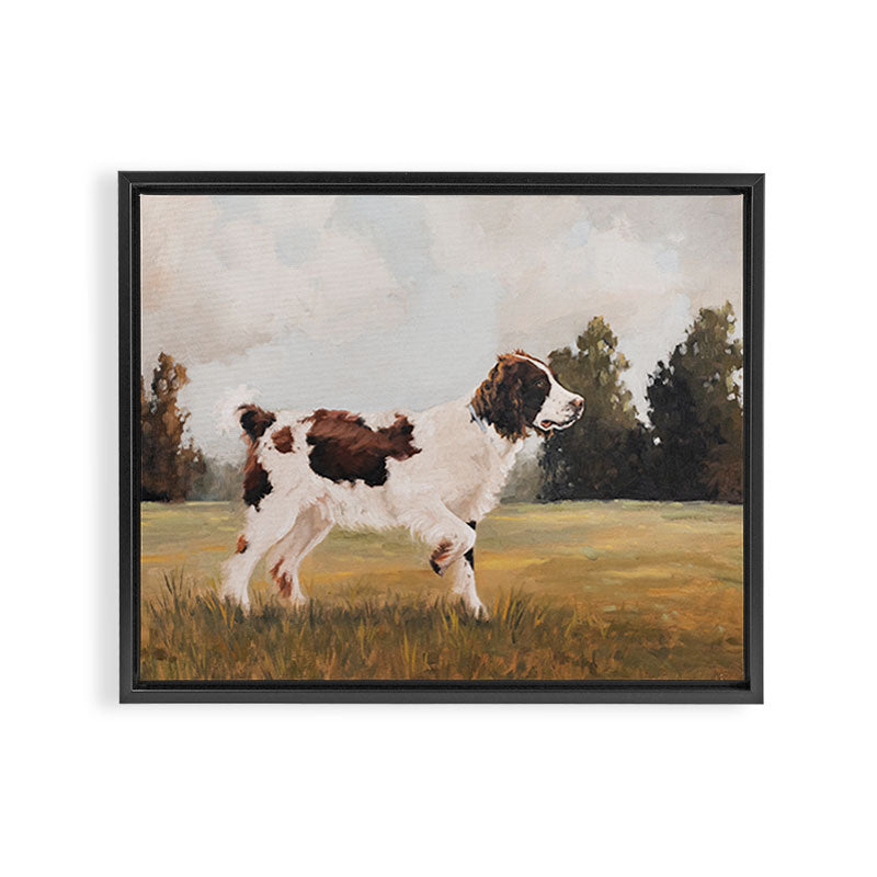 Springer Spaniel Framed Canvas Print Gallery Image 12