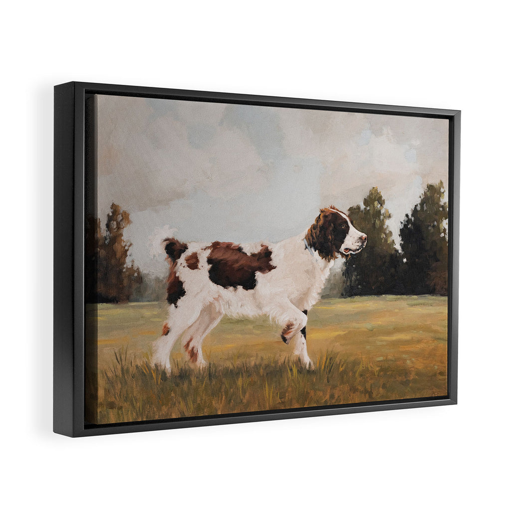 Springer Spaniel Framed Canvas Print Gallery Image 2