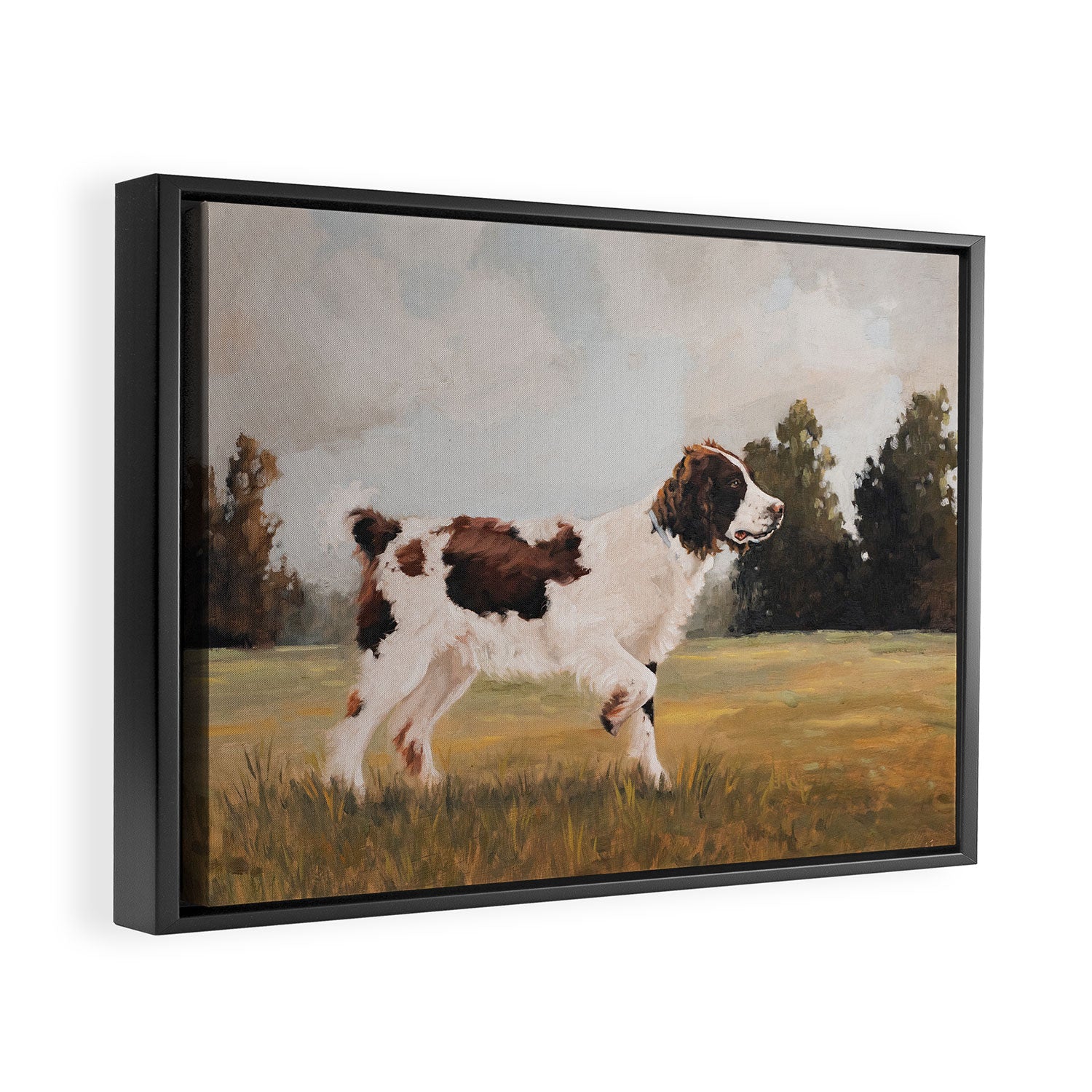 Springer Spaniel Framed Canvas Print Gallery Image 2