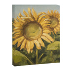 sunflower field Canvas Print Gallery Image 6