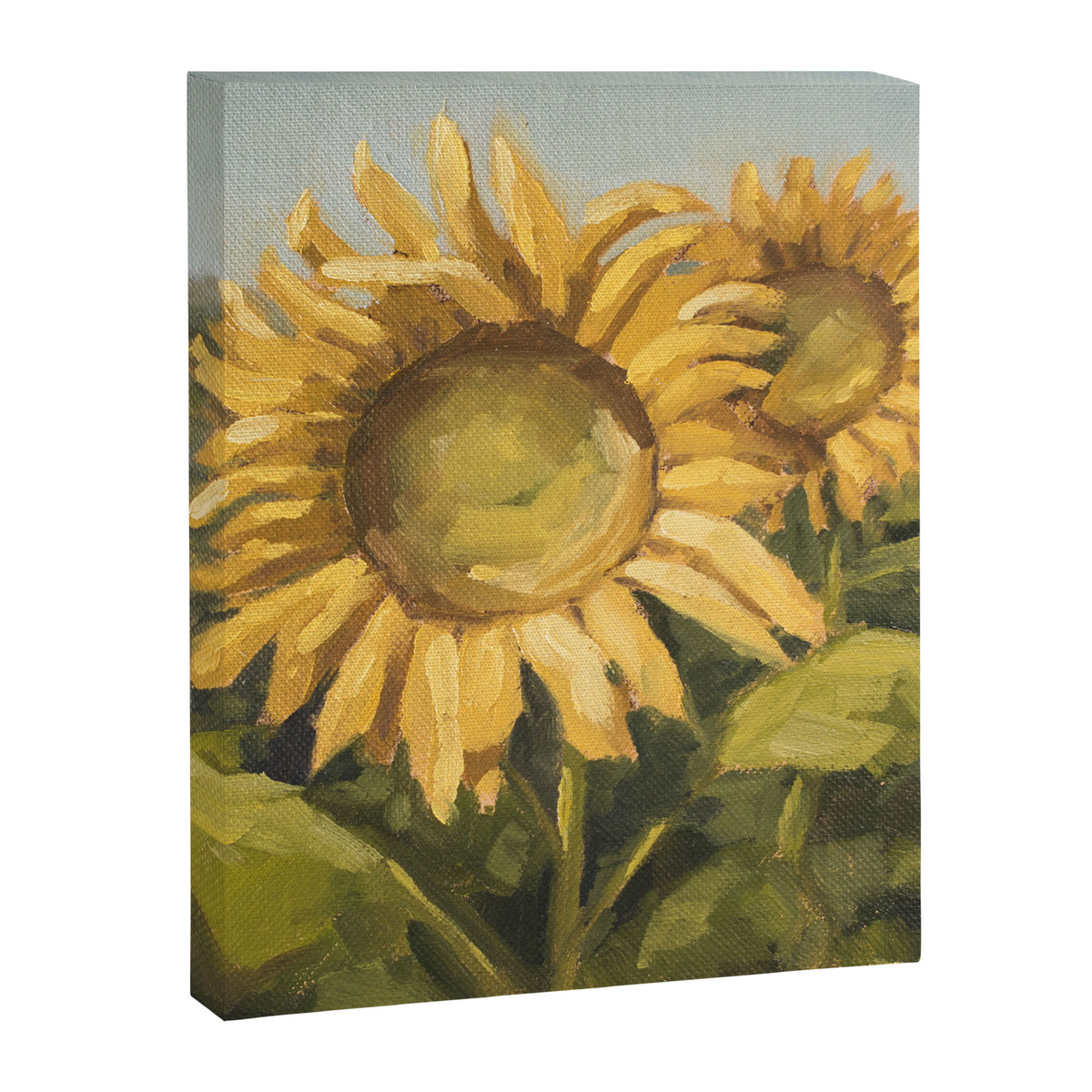 sunflower field Canvas Print Gallery Image 6