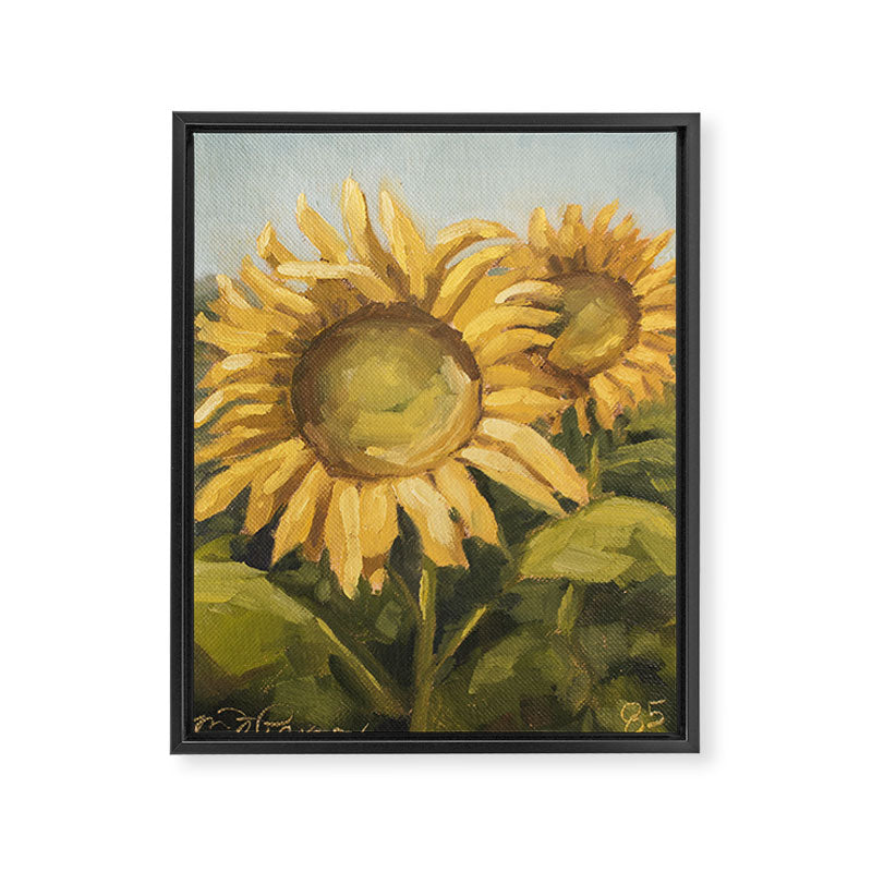 sunflower field Framed Canvas Print Gallery Image 6
