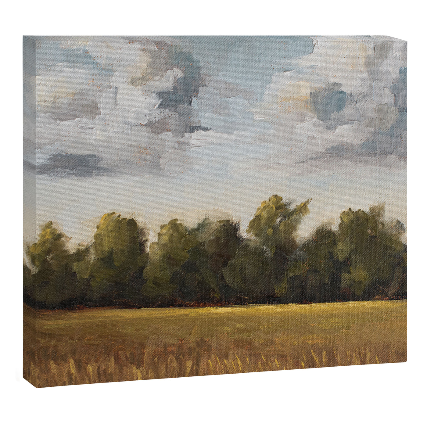 sun-kissed & breezy Canvas Print