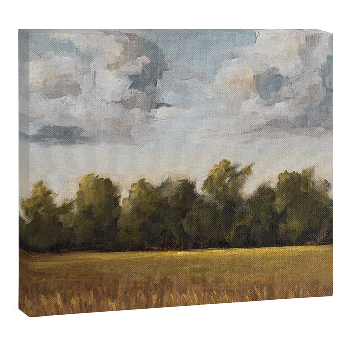 sun-kissed & breezy Canvas Print Gallery Image 1