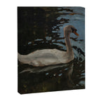 swan one Canvas Print Gallery Image 6