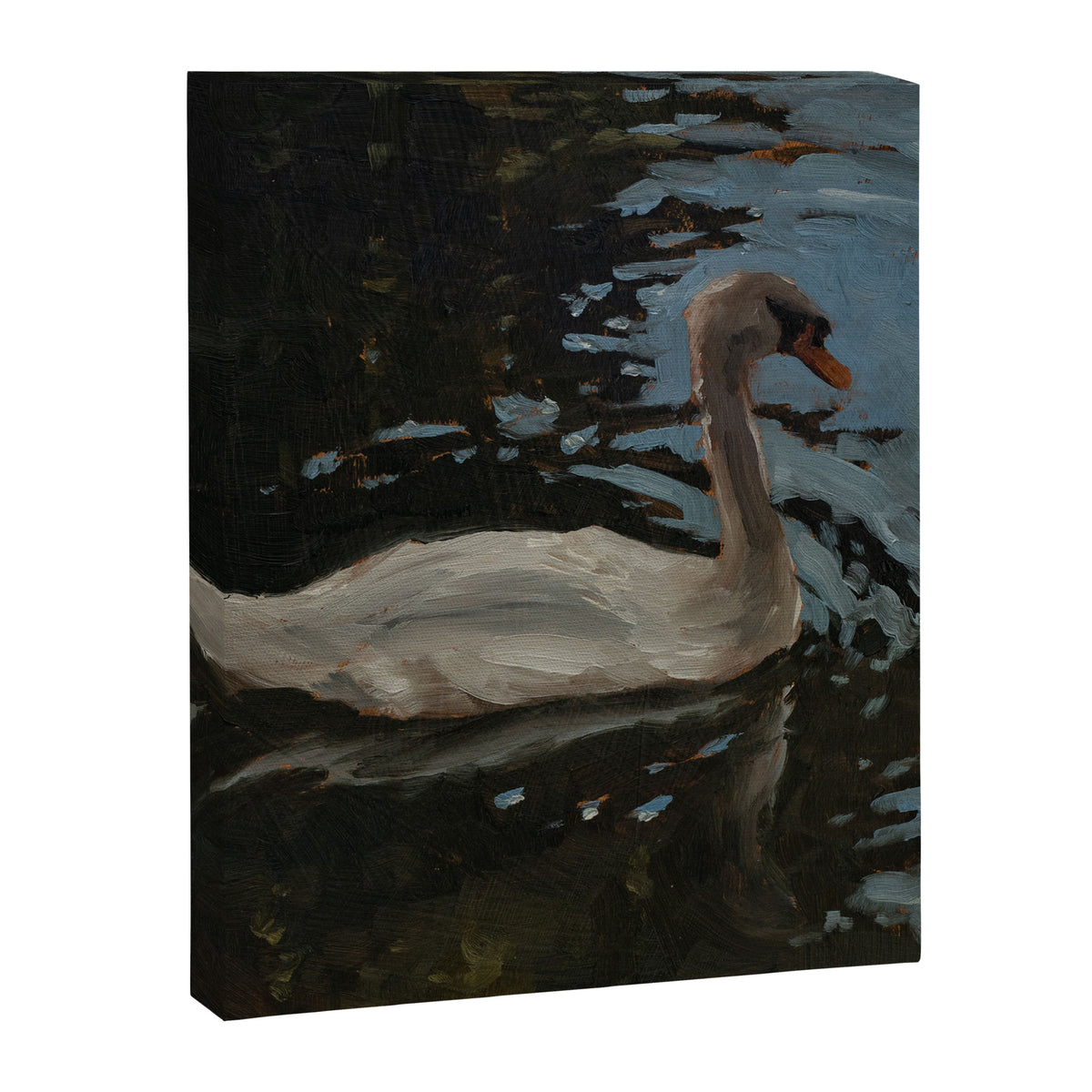swan one Canvas Print Gallery Image 6
