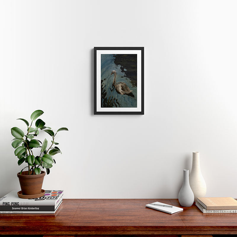 swan two Framed Art Print Gallery Image 2