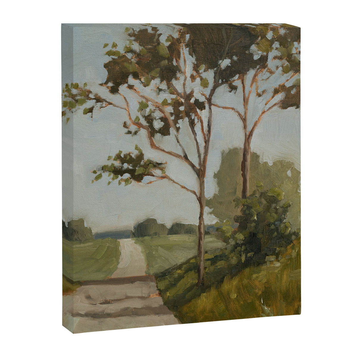 washington county maryland trees Canvas Print Gallery Image 6