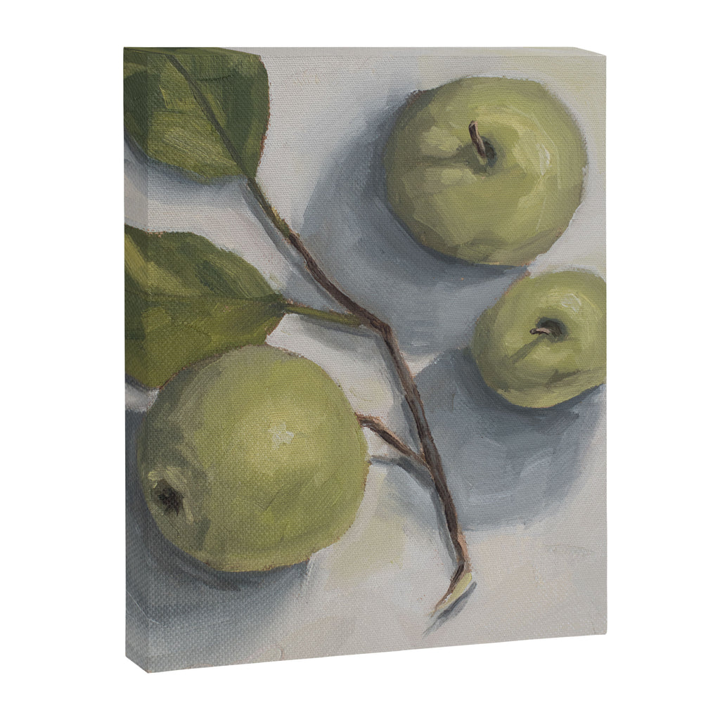 windfall apples Canvas Print Gallery Image 6