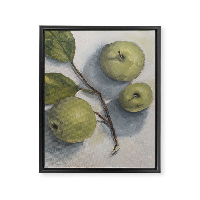 windfall apples Framed Canvas Print Gallery Image 1
