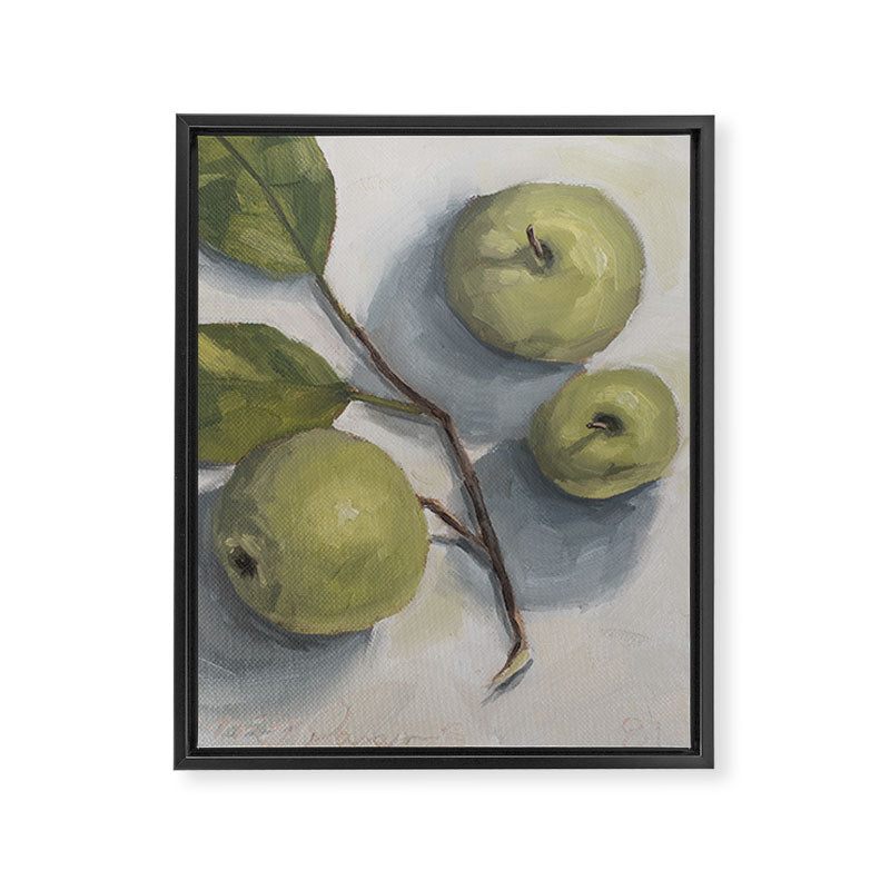 windfall apples Framed Canvas Print Gallery Image 6