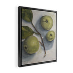 windfall apples Framed Canvas Print Gallery Image 2