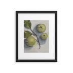 windfall apples Framed Art Print Gallery Image 5