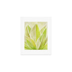 Agave Cactus in Morning Sunlight Art Print Gallery Image 1