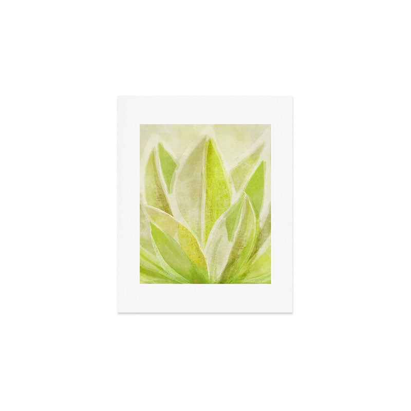 Agave Cactus in Morning Sunlight Art Print Gallery Image 1