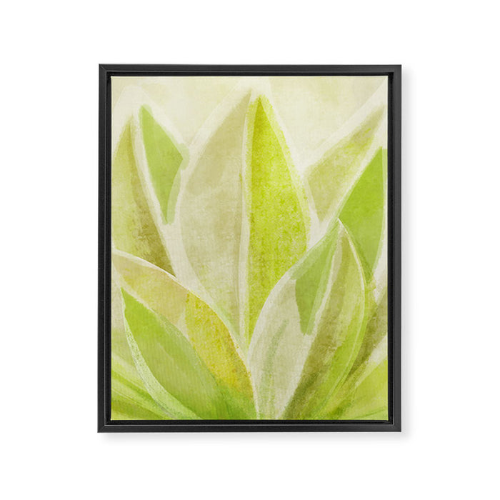 Agave Cactus in Morning Sunlight Framed Canvas Print Gallery Image 1