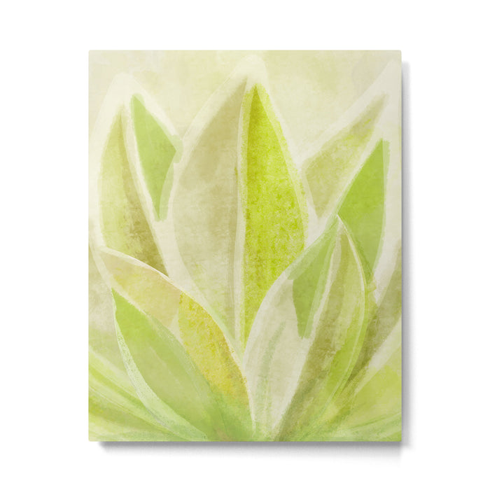 Agave Cactus in Morning Sunlight Metal Print Gallery Image 1