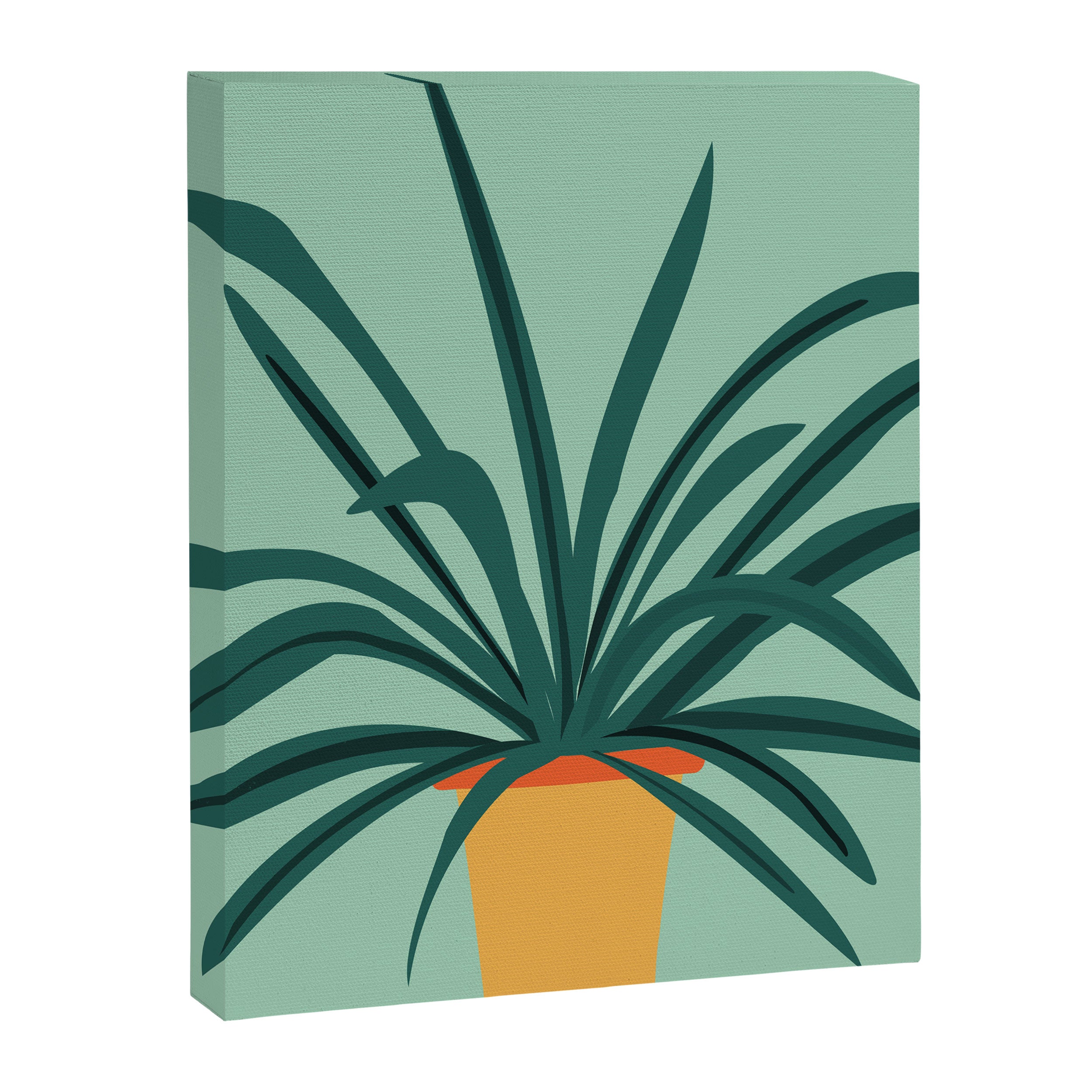 Aloe Love Houseplant Illustration  Canvas Print Gallery Image 6