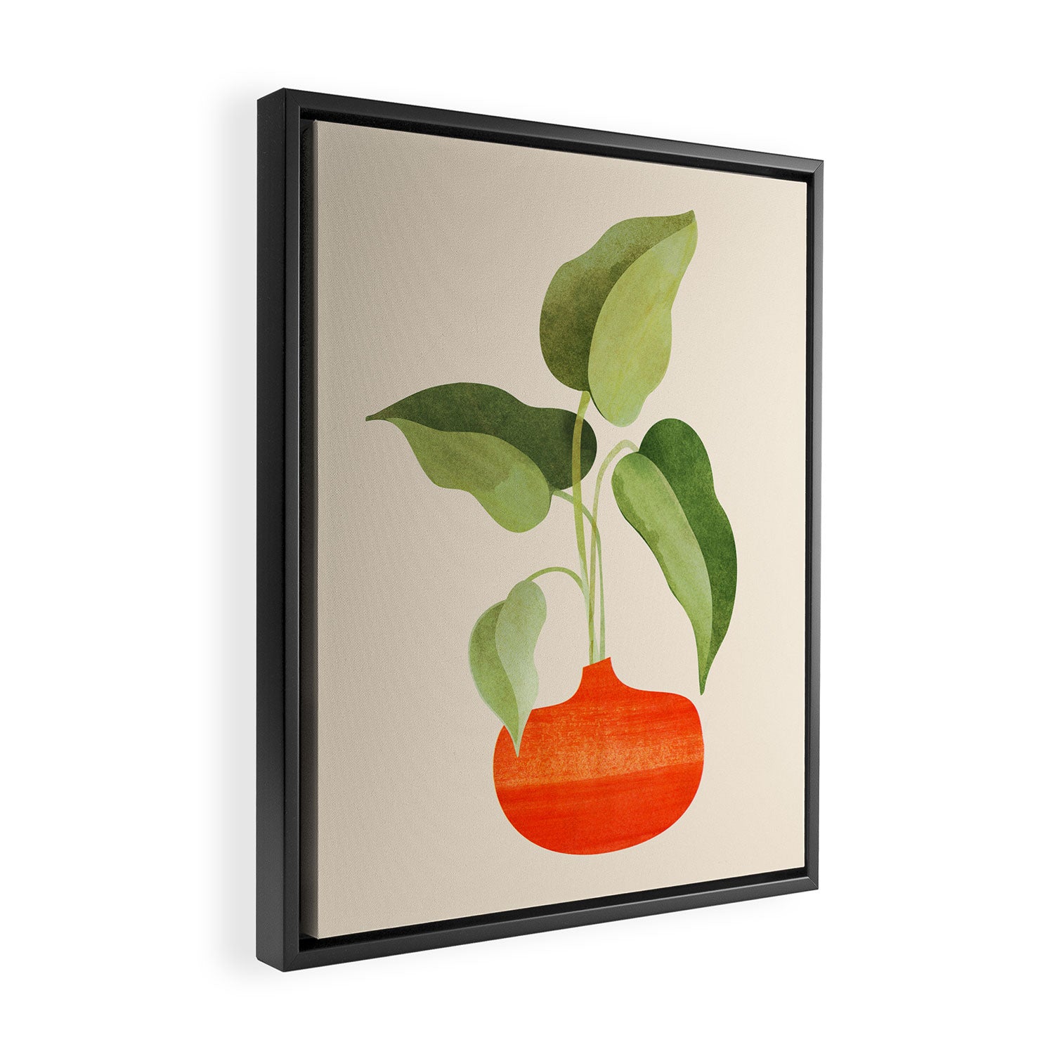Beginnings / Plant Study Series Framed Canvas Print Gallery Image 2