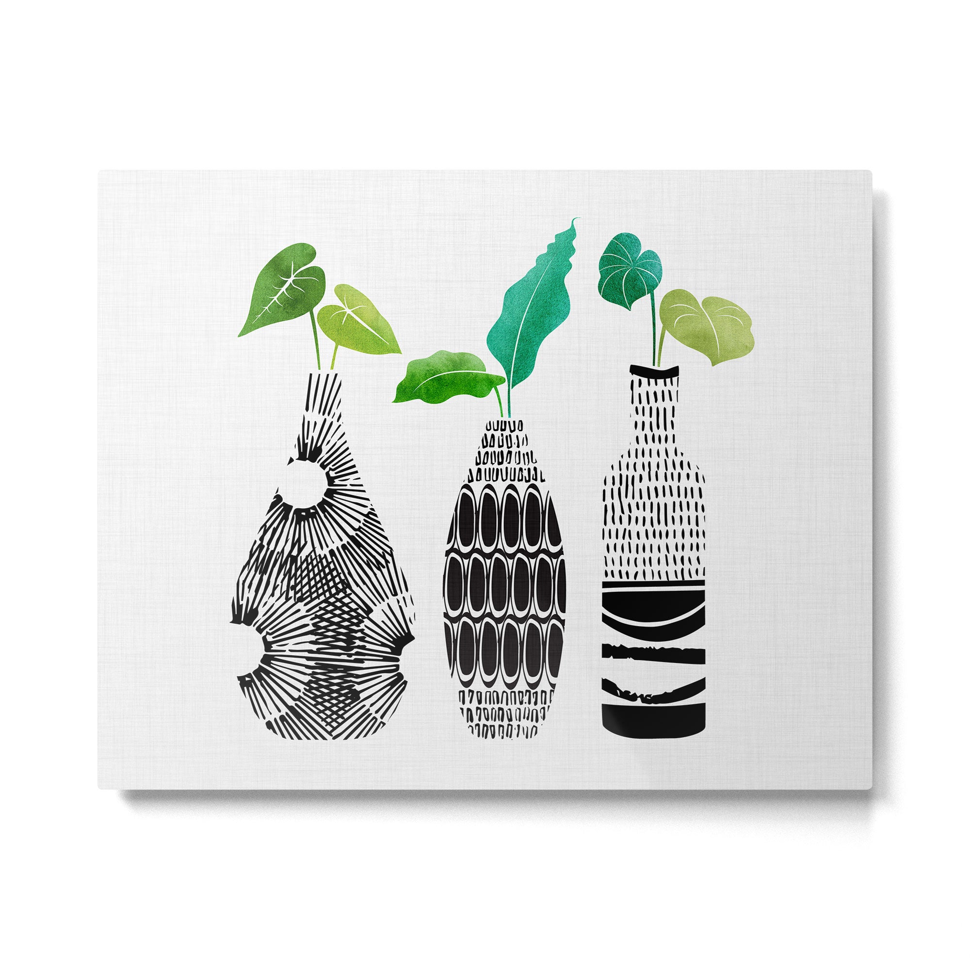Black and White Plant Trio Metal Print Gallery Image 4