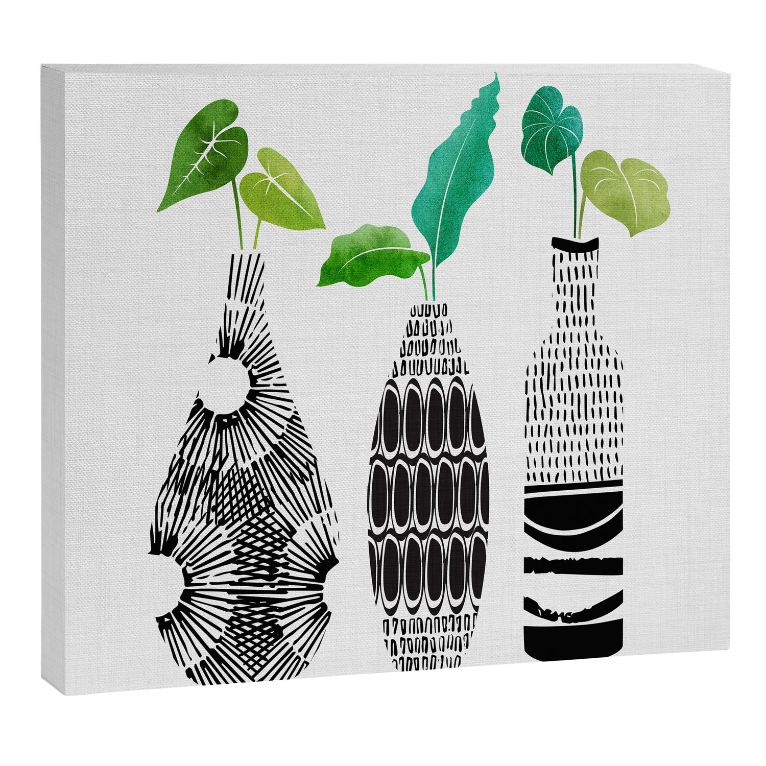 Plants in Black and White Vases Canvas Print Gallery Image 8