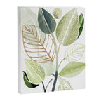 Botanical Collage Canvas Print Gallery Image 6