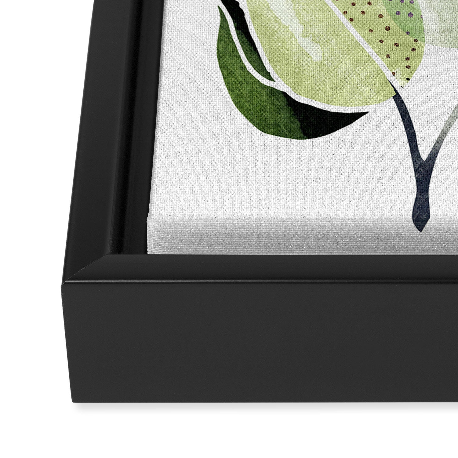Botanical Collage Framed Canvas Print Gallery Image 3