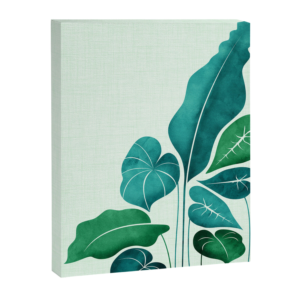 Cacophony Plant Illustration Canvas Print Gallery Image 6