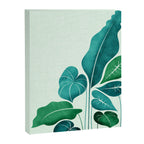 Cacophony Plant Illustration Canvas Print Gallery Image 6