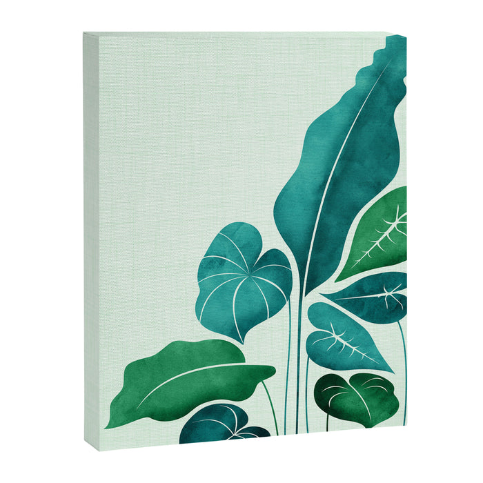 Cacophony Plant Illustration Canvas Print Gallery Image 1