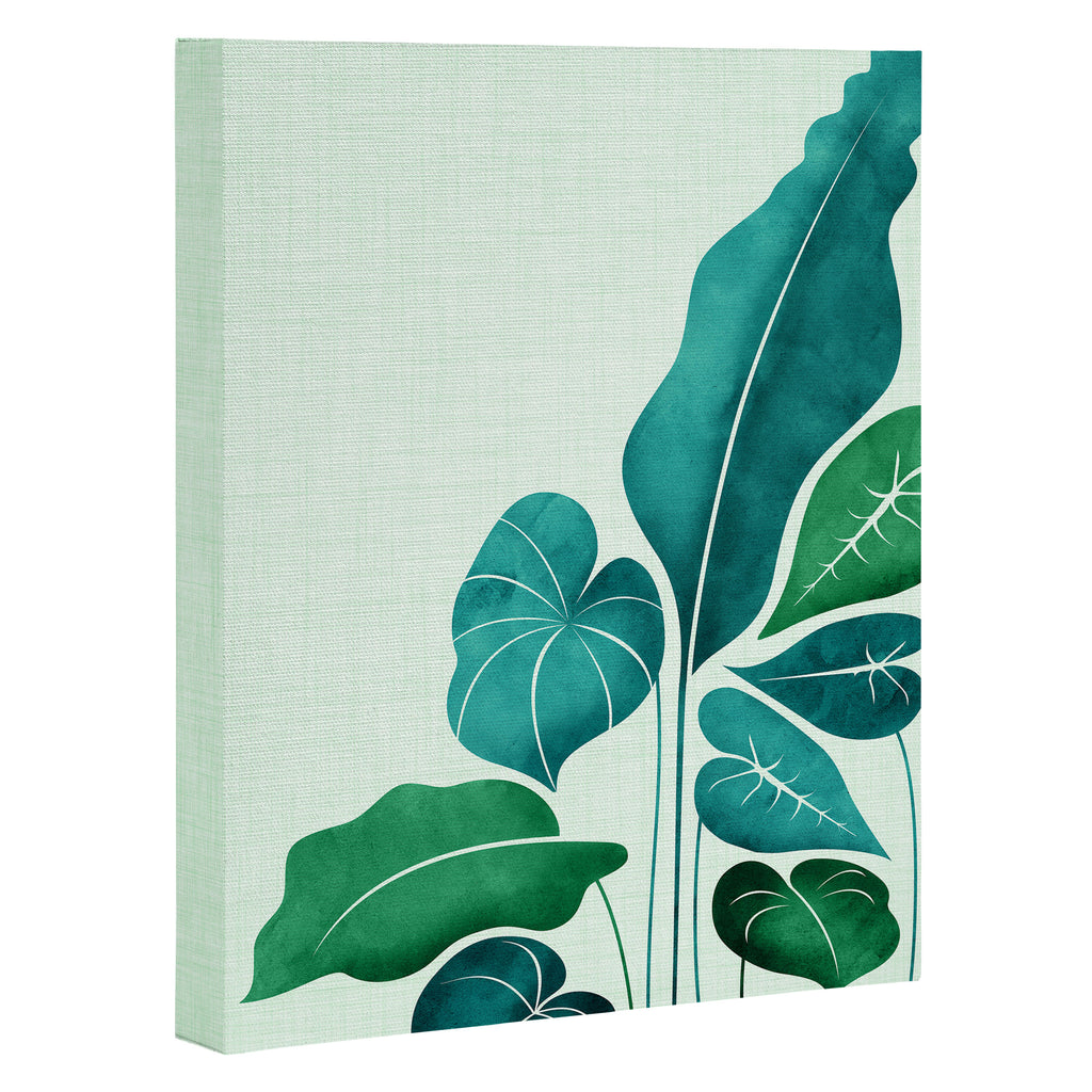 Cacophony Plant Illustration Canvas Print Gallery Image 3