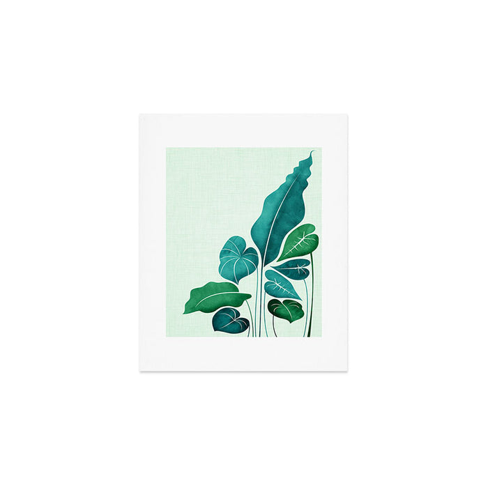 Cacophony Plant Illustration Art Print Gallery Image 1