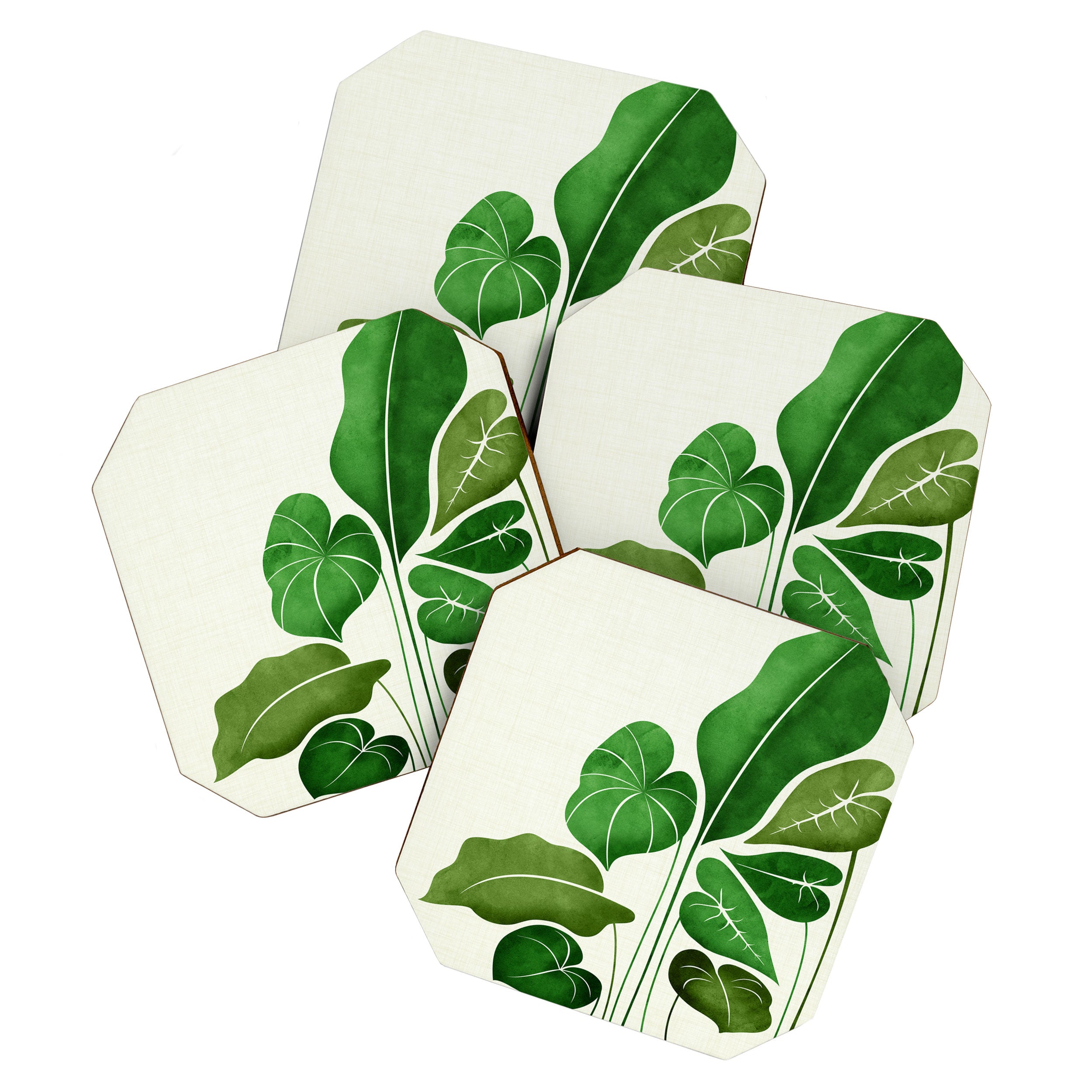 Cacophony Plant Illustration Coaster Gallery Image 1