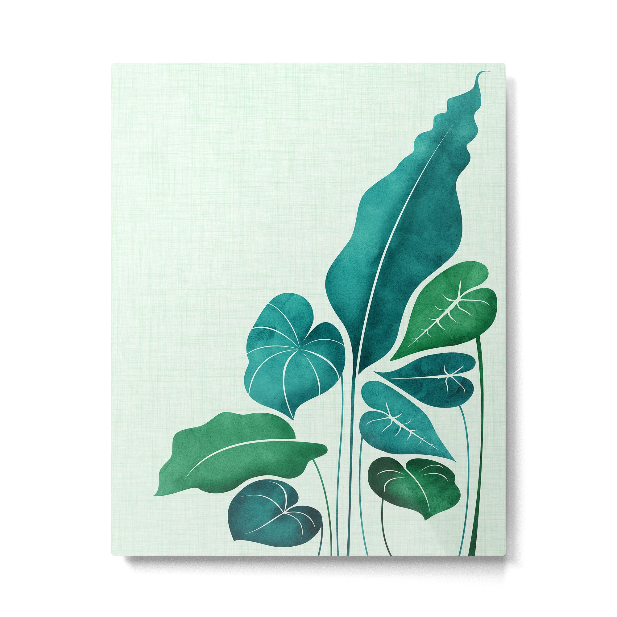 Cacophony Plant Illustration Metal Print Gallery Image 4