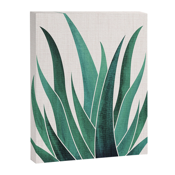 Desert Agave Botanical Drawing Canvas Print Gallery Image 1