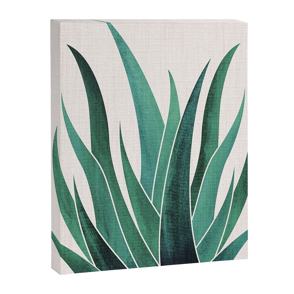 Desert Agave Botanical Drawing Canvas Print Gallery Image 6