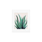 Desert Agave Botanical Drawing Art Print Gallery Image 1