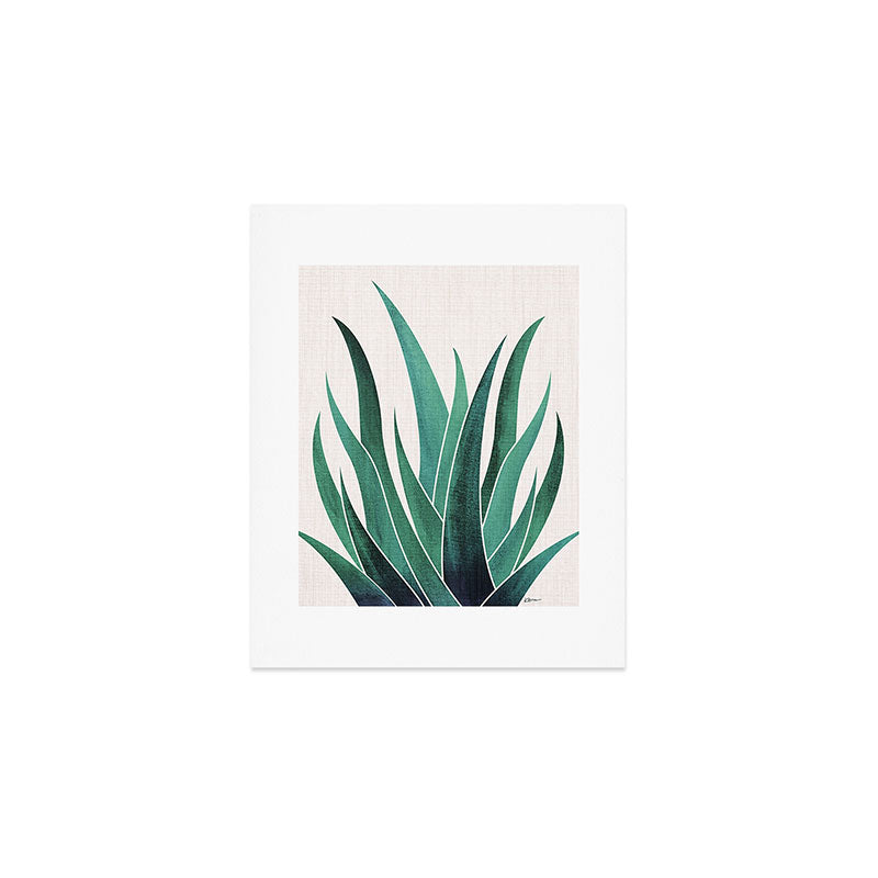 Desert Agave Botanical Drawing Art Print Gallery Image 1