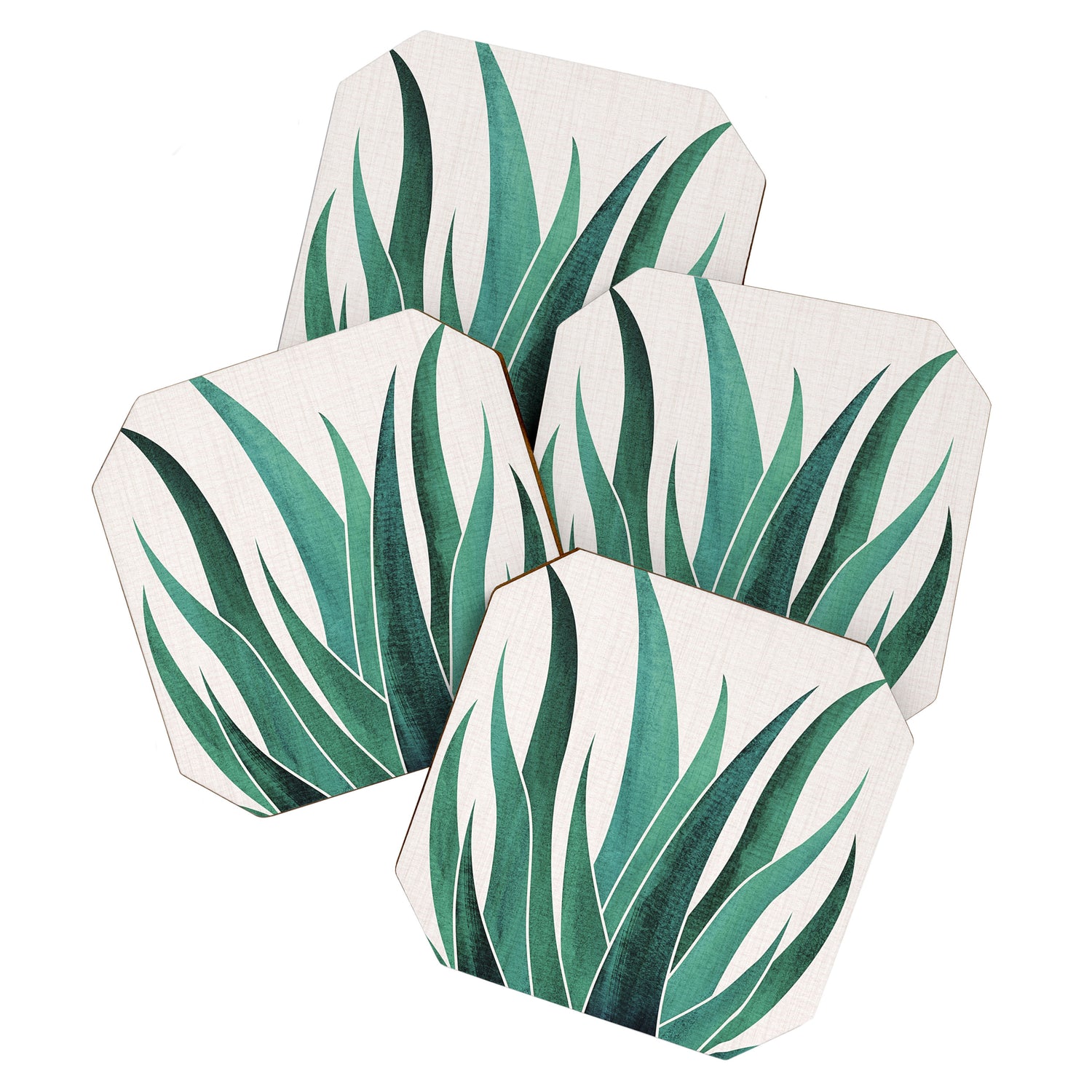 Desert Agave Botanical Drawing Coaster Gallery Image 1