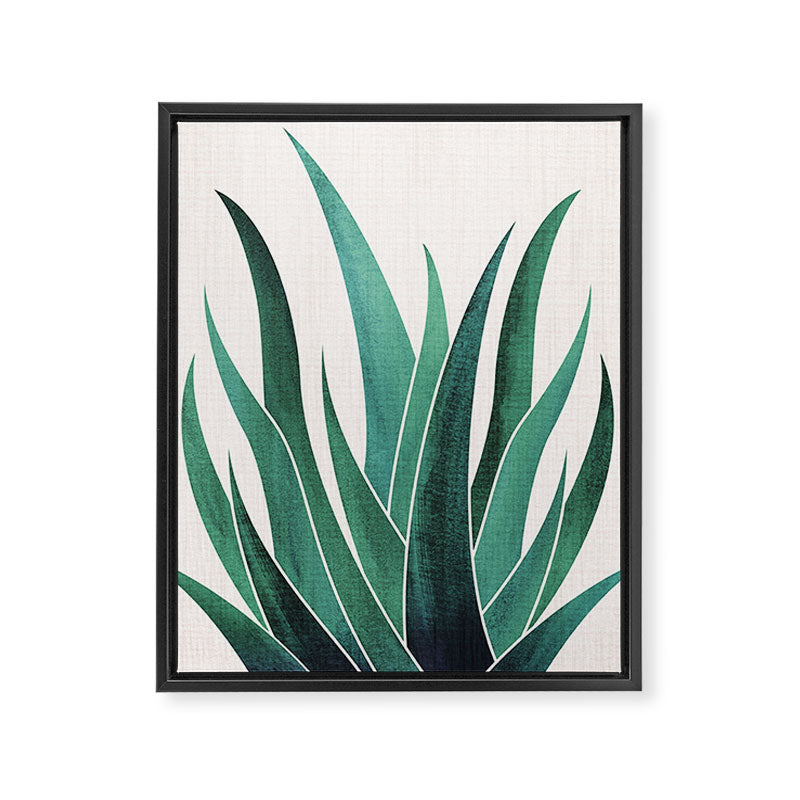 Desert Agave Botanical Drawing Framed Canvas Print Gallery Image 6