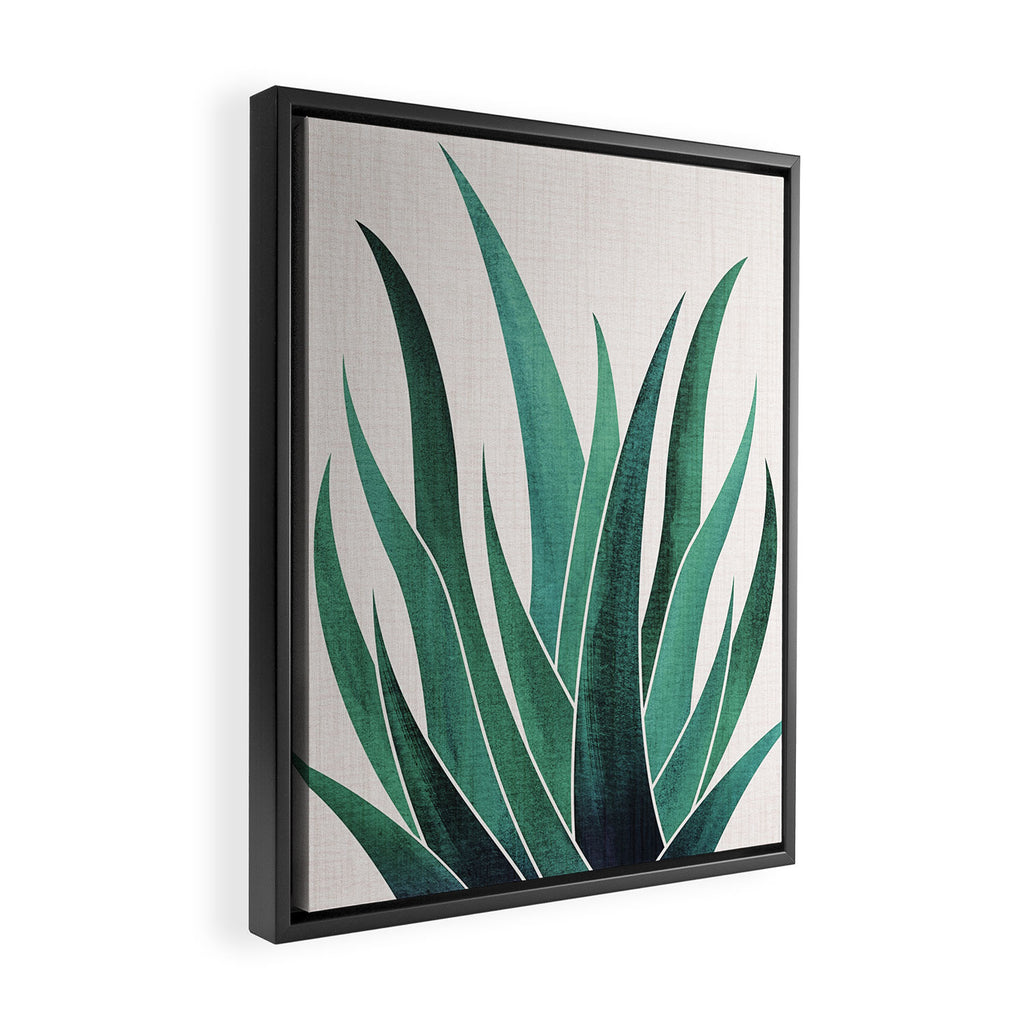 Desert Agave Botanical Drawing Framed Canvas Print Gallery Image 2